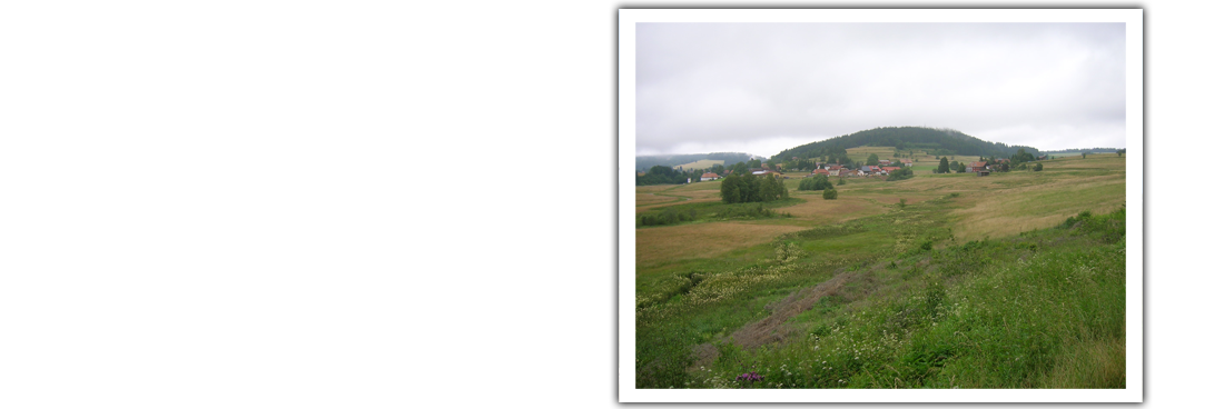 Der Südschwarzwald...